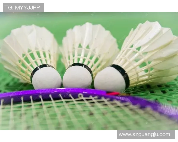 羽毛球：探索国民运动的乐趣与健康之源